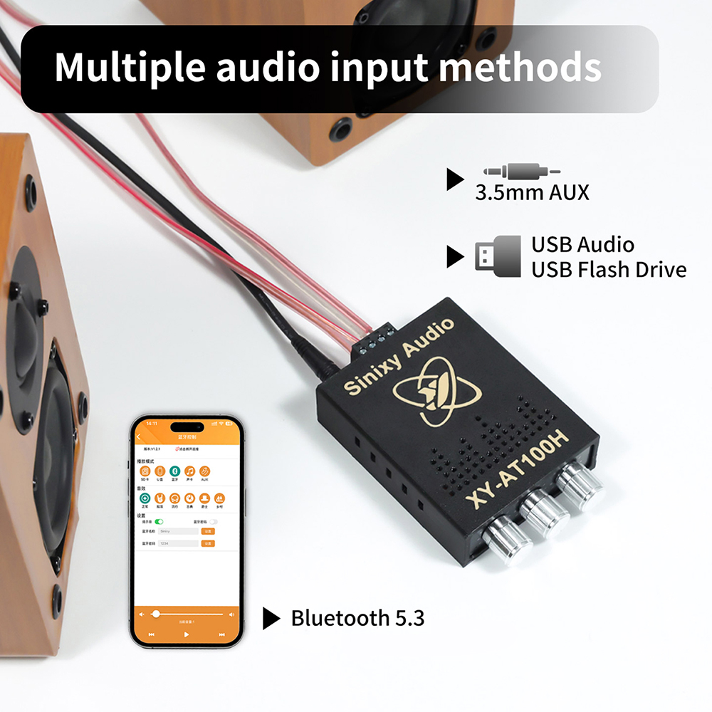 Carte amplificateur de puissan - Sbc Audio Amplifier avis et prix