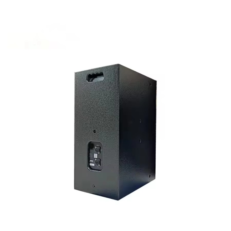 Haut-parleur passif à deux voi - Full Range Speaker avis et prix