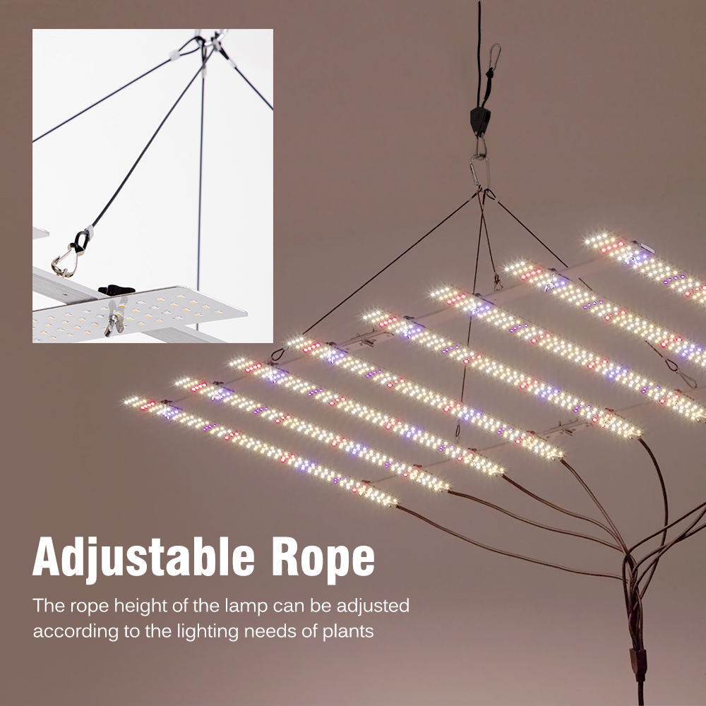 🌴 Lampe de culture LED 100W 20 - Knob Aluminum avis et prix