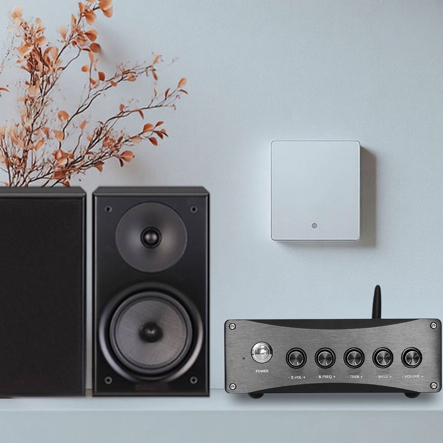 Amplificateur de puissance Blu - Pcm5102 avis et prix