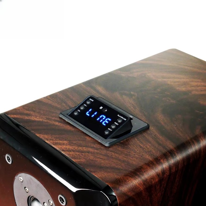 Enceinte de karaoké active hau - Woofer avis et prix